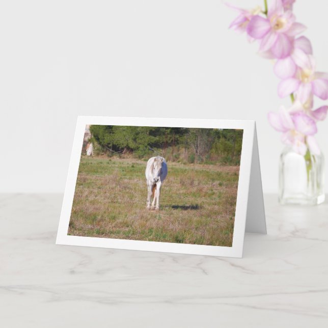 White Horse in Field Card (Orchid)