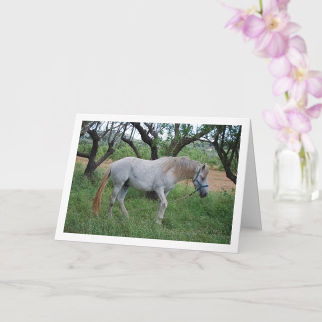White Horse in Grass Field Card (Orchid)