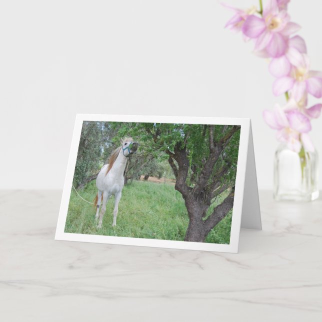 White Horse in Grass Field Card (Orchid)