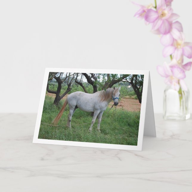 White Horse in Grass Field Card (Orchid)