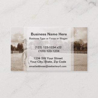 white horse in pasture grazing sepia business card