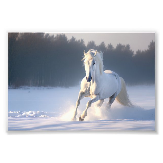 White Horse in Snow, Horses, Winter Photo Print (Front)