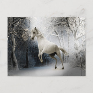 White Horse in Snowy Winter Landscape Postcard