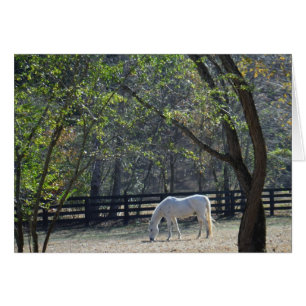 White Horse in trees