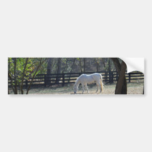 White Horse in trees Bumper Sticker