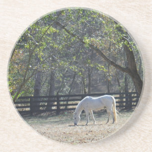 White Horse in trees Coaster