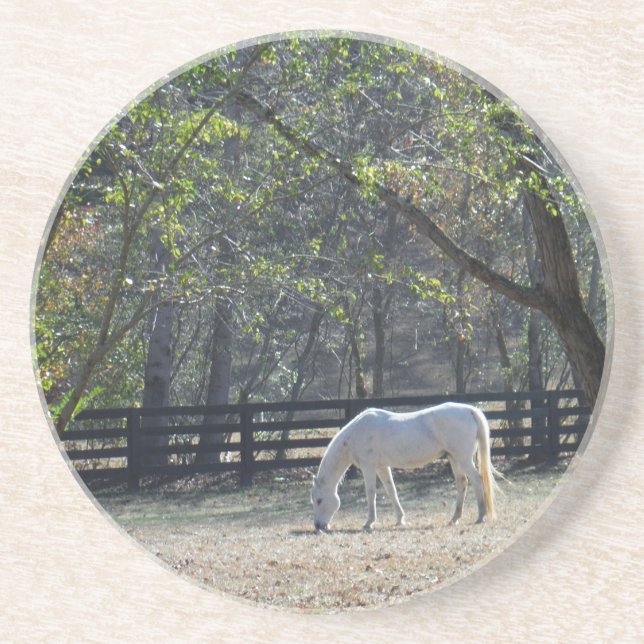 White Horse in trees Coaster (Front)