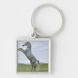 white horse jumping on meadow key ring