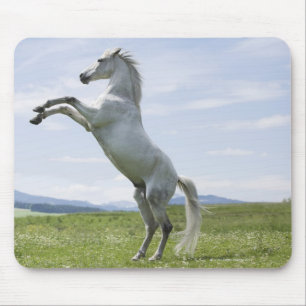 white horse jumping on meadow mouse mat