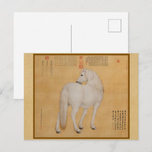 White Horse Looking Back - Vintage Chinese Art Postcard