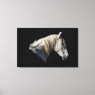 White Horse-Lover Equine Photo Canvas Print