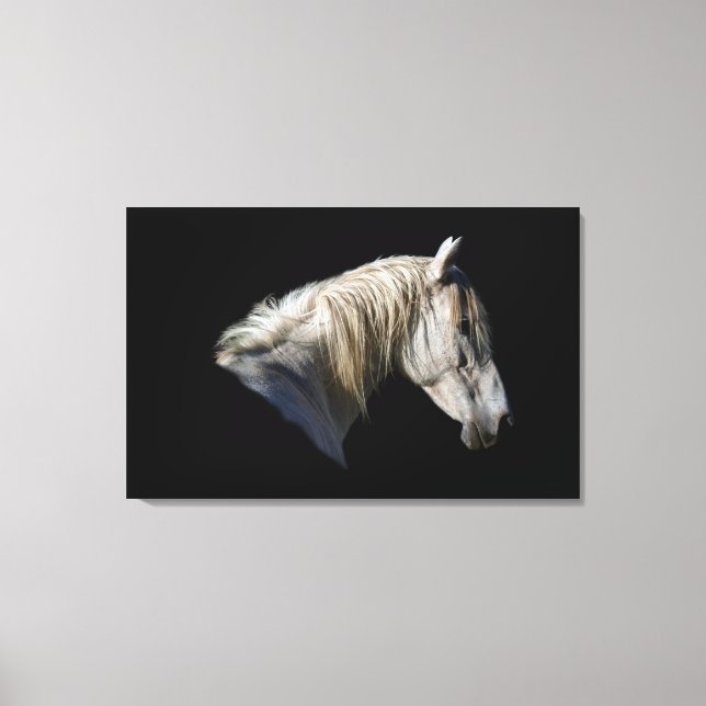 White Horse-Lover Equine Photo Canvas Print (Front)
