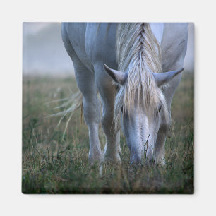 White Horse Magnet