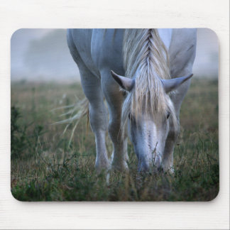 White Horse Mouse Mat