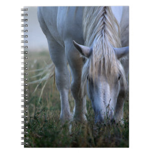White Horse Notebook