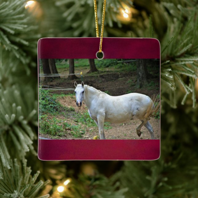 White Horse Photo Ceramic Ornament (Tree)