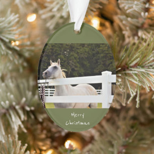 White Horse Photo Ornament
