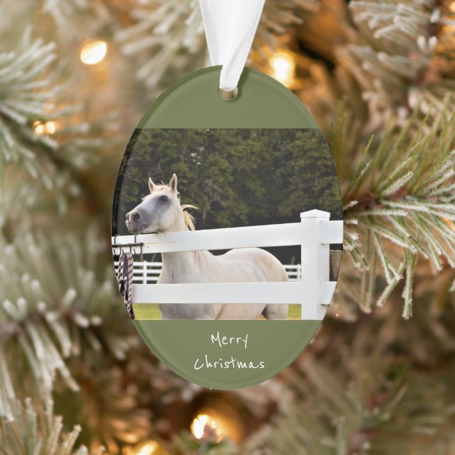 White Horse Photo Ornament (Tree)