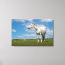 White Horse Photography Canvas