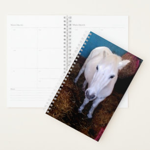 White horse planner