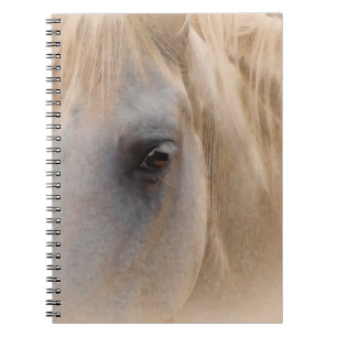 White Horse Portrait Notebook