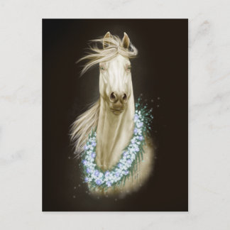 white horse portrait postcard