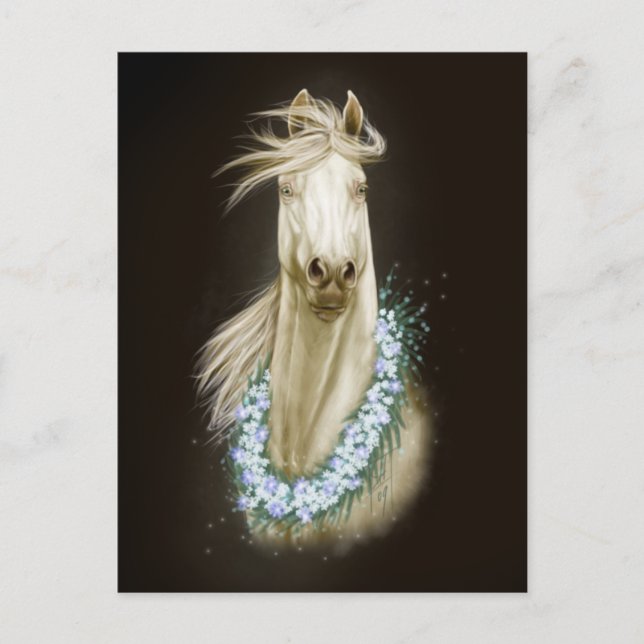 white horse portrait postcard (Front)