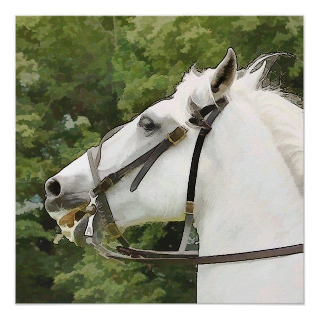 WHITE HORSE POSTER (Front)