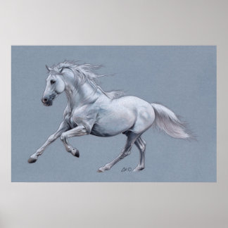 White Horse Poster