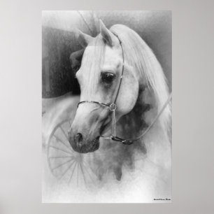 White Horse Print