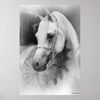 White Horse Print