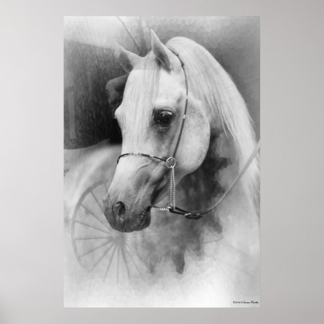 White Horse Print (Front)