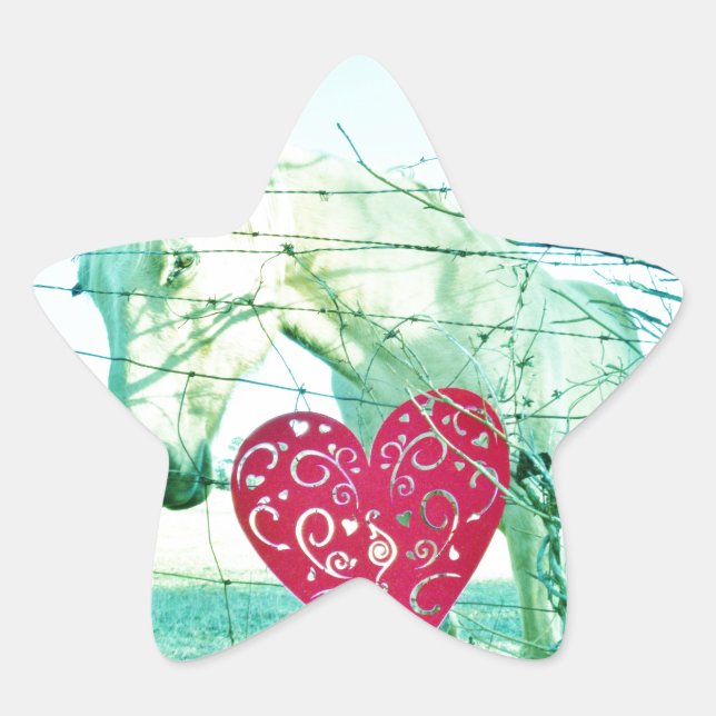 White Horse Red Heart Valentine Star Sticker (Front)