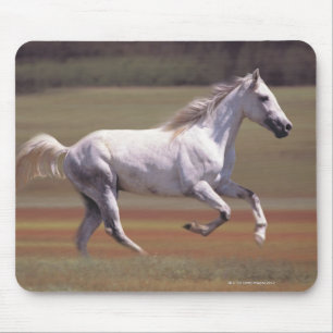 White horse running in field mouse mat