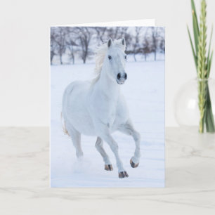 White Horse Running in the Snow Card