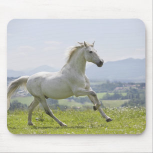 white horse running on meadow mouse mat