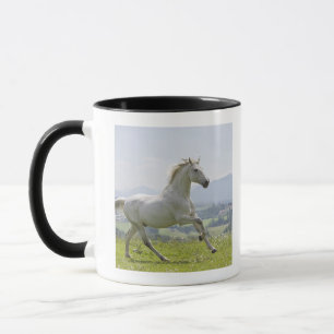 white horse running on meadow mug