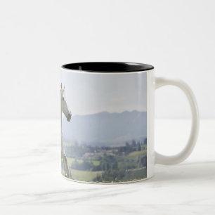 white horse running on meadow Two-Tone coffee mug