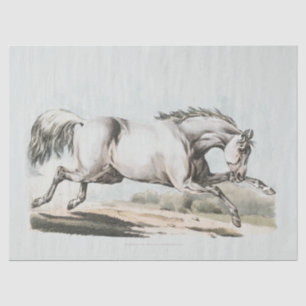 White Horse Running Tissue Paper