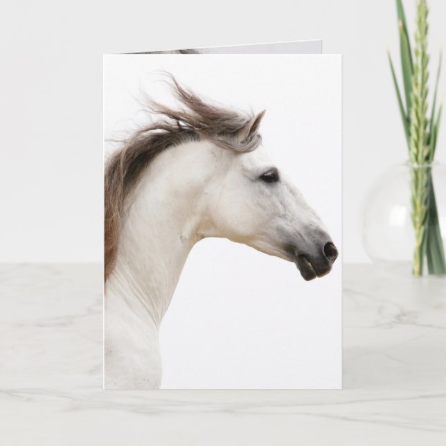 White Horse Runs Horse Greeting Card (Front)