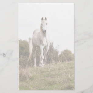 White horse stationery