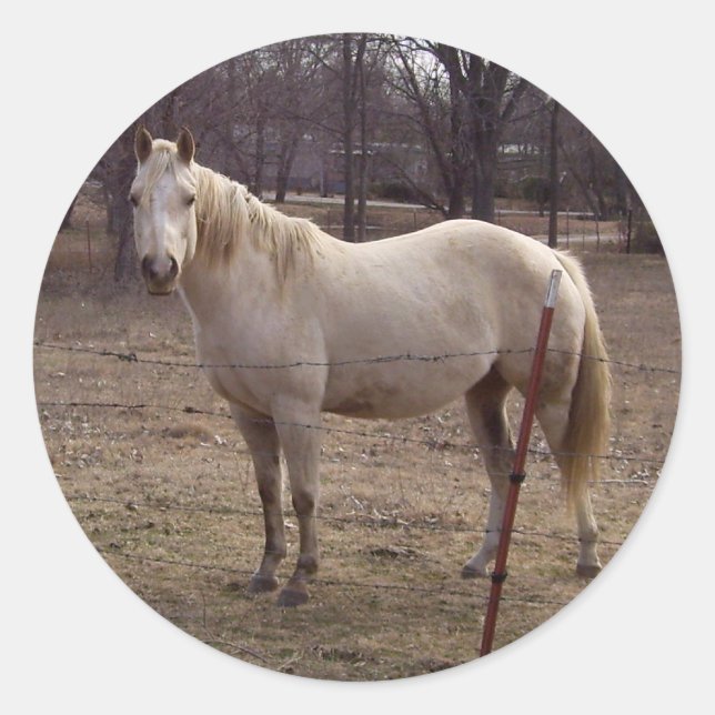 White Horse Stickers (Front)