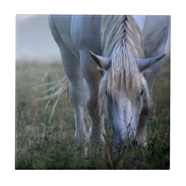 White Horse Tile (Front)