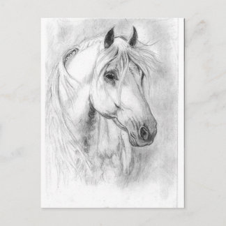 White Horses head Postcard