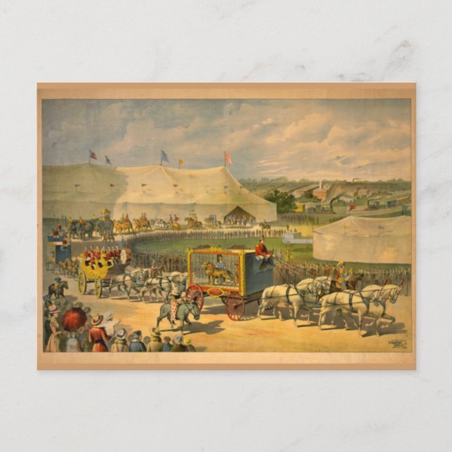 White Horses Parade Circus Poster Postcard (Front)