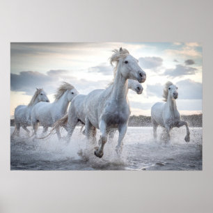 White Horses Poster