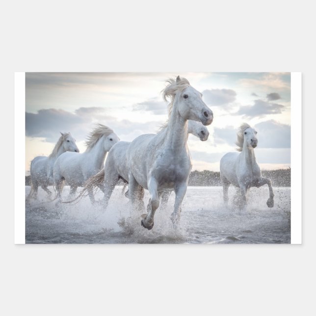 White Horses Rectangular Sticker (Front)