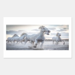White Horses Rectangular Sticker