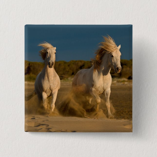 White Horses Running On Beach | Camargue, France 15 Cm Square Badge (Front)