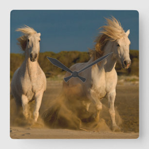 White Horses Running On Beach Camargue, France Square Wall Clock